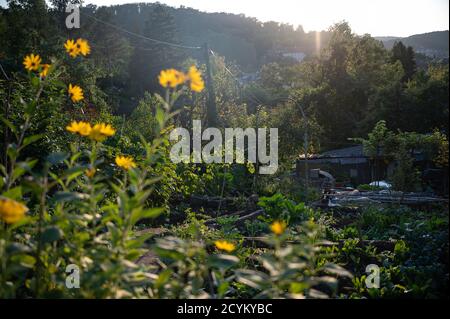 Stoccarda, Germania. 30 settembre 2020. Un'assegnazione. Credit: Sebastian Gollnow/dpa/Alamy Live News Foto Stock