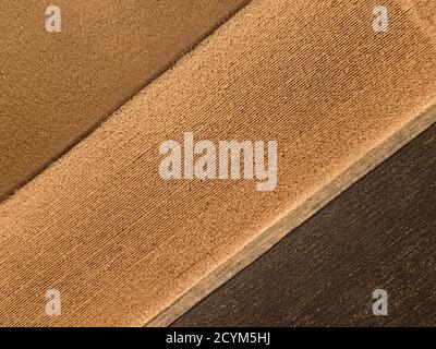 Texture di legno primo piano. Legno marrone chiaro intonacato trama sfondo Foto Stock