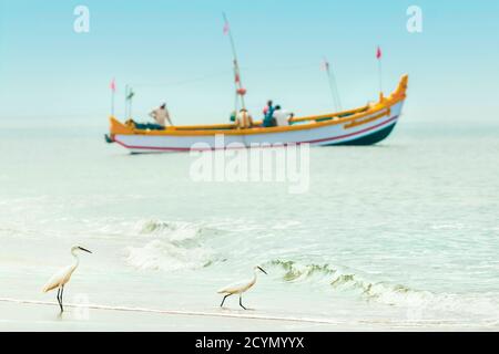 Garzette innevate, un airone bianco comune, con barca da pesca a Marari Beach; Mararikulam, Alappuzha (Aleppey), Kerala, India Foto Stock