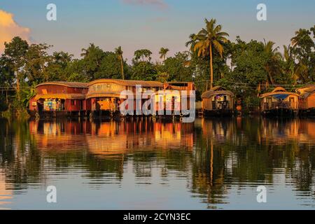 Le case galleggianti ormeggiate in luce dorata all'alba dopo il pernottamento sulle popolari crociere turistiche di backwater qui; Alappuzha (Alleppey), Kerala, India Foto Stock