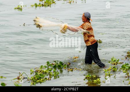 Pescatore che getta la sua rete a mano circolare pesata in alghe galleggianti sul lungomare di Fort Cochin dal lago Vembanad; Kochi (Cochin), Kerala, India Foto Stock