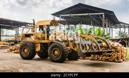 Sandakan, Sabah: Un bulldozer gommato con un utensile per la cattura di tronchi in una fabbrica di legno compensato Foto Stock