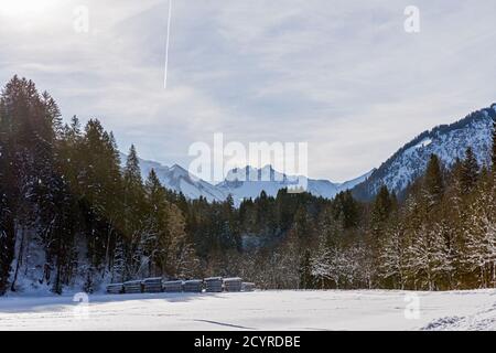Trettachtal, Wald, Holzstapel, Berge, schneebedeckt, Oberstdorf, Allgäuer Alpen Foto Stock
