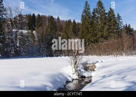 Trettachtal, Bach, Waldrand, verschneit, Oberstdorf, Allgäuer Alpen Foto Stock