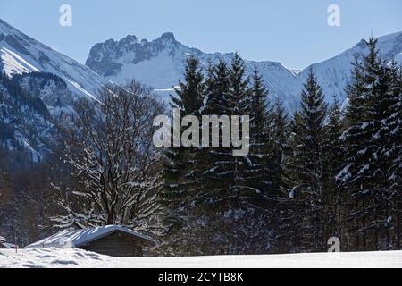 Trettachtal, Hütte, Wald, Berge, verschneit, Oberstdorf, Allgäuer Alpen Foto Stock