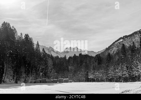 Trettachtal, Wald, Holzstapel, Berge, schneebedeckt, Oberstdorf, Allgäuer Alpen Foto Stock