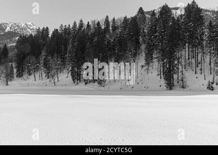 Trettachtal, Wald, Berge, schneebedeckt, Oberstdorf, Allgäuer Alpen Foto Stock