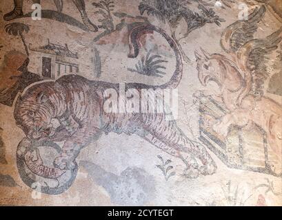 Una tigre e griffin dal mosaico della grande caccia nell'antica villa romana di Piazza Armerina in Sicilia Foto Stock