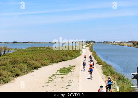 Illustrazione del turismo ciclistico, ciclisti e escursionisti sulla pista ciclabile 'Via Rhona' tra le Grau-du-Roi e Aigues-Mortes attraverso le paludi saline Foto Stock