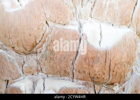 La struttura di montagna e roccia della parete di pietra o di sfondo di colore beige chiaro naturale. Può essere usato per la vostra creatività. Foto Stock