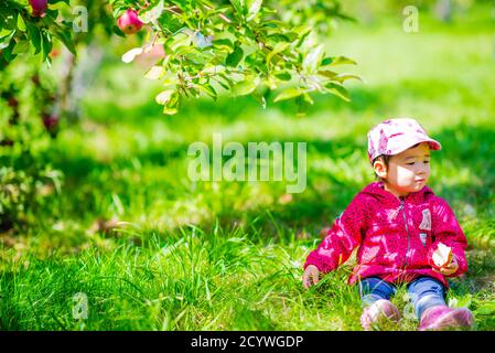 Quebec, Canada - Settembre 20 2020: Bambina che gioca sotto l'albero di mele Foto Stock