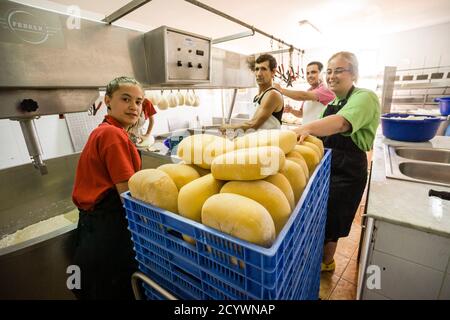 Fabricacion artesanall de queso Binibeca de Jaume Pons - denominacion de origen Mahon artesano- finca Alcaiduset, Alaior, Menorca, Islas Baleares, es Foto Stock