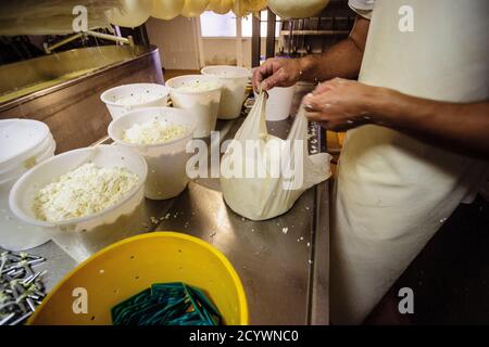 Fabricacion artesanal de queso Binigarba - denomininacion de origen Mahon artesano- finca Binigarba, Ciutadella, Menorca, Islas Baleares, españa, europe Foto Stock