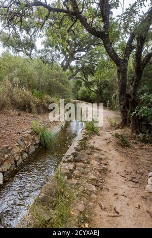 Antica acequia o séquia corso d'acqua gestito dalla comunità utilizzato per l'irrigazione su un sentiero. Benahavis, Andalusia, Spagna. Foto Stock