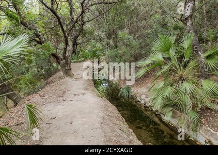 Antica acequia o séquia corso d'acqua gestito dalla comunità utilizzato per l'irrigazione su un sentiero. Benahavis, Andalusia, Spagna. Foto Stock