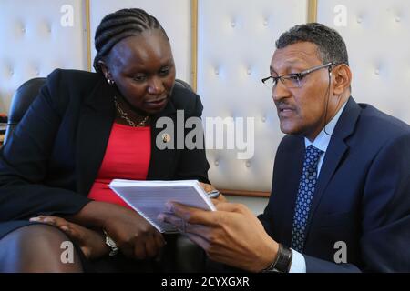 Il 27 novembre 2018, Fadil Karrar dell'AMISOM si è consultato con Eunice Njenga della Kenya School of Revenue Administration durante una formazione per i funzionari somali del Ministero delle Finanze sugli appalti, la tassazione e la riscossione delle entrate. Foto Stock