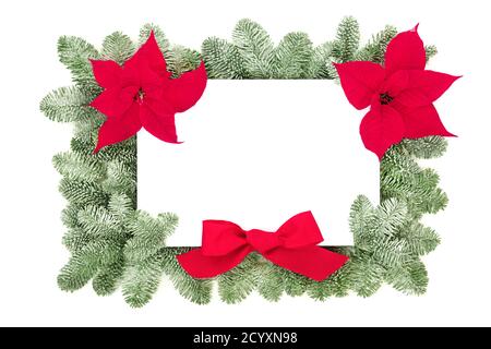 Ringraziamento, Natale e Capodanno composizione di confine con fiori di poinsettia, arco rosso e abete innevato su sfondo bianco. Elemento decorativo per Foto Stock