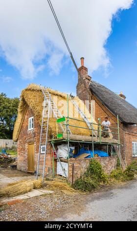 Un thatcher esperto al lavoro che sostituisce il tetto tradizionale di paglia di un vecchio cottage in Great Bedwyn, un villaggio nel Wiltshire orientale, Inghilterra meridionale Foto Stock