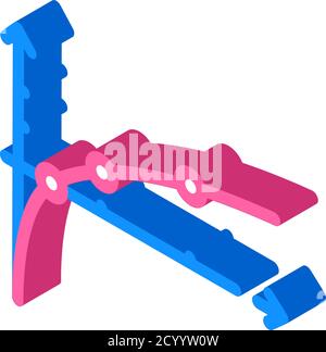 illustrazione vettoriale delle icone isometriche delle lezioni di funzioni e grafica Illustrazione Vettoriale