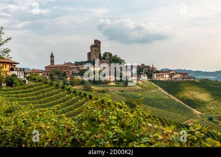 Le Langhe sono un territorio geografico o sottozona del basso Piemonte, situato tra le province di Cuneo e Asti, costituito da un esteso hil Foto Stock