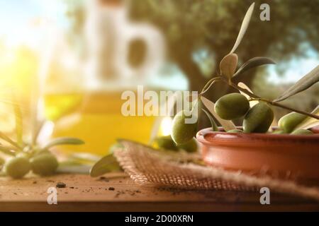 Olive appena raccolte in contenitore di argilla su tavola di legno in oliveto. Vista frontale. Foto Stock