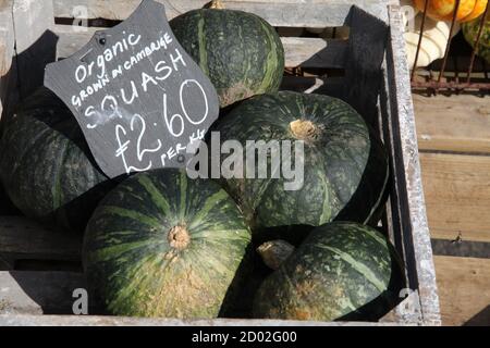 Una cassa di Kabocha biologico o di Squash giapponese 'Kent Pumpkin' in vendita presso un centro giardino del Regno Unito, 2020 Foto Stock