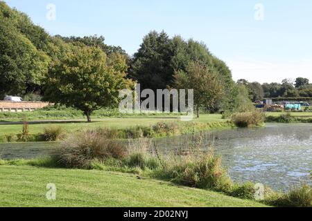 Il laghetto presso il Kingfisher Farm Shop presso il villaggio Abinger Hammer situato nelle Surrey Hills, Surrey, Regno Unito, settembre 2020 Foto Stock