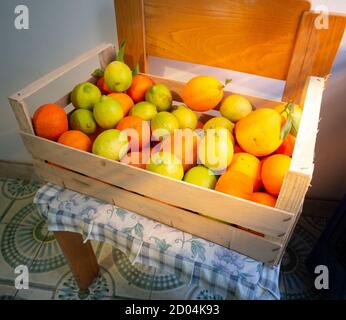 Colpo di un gruppo di frutti belli e colorati: Arance, limoni, lime e mandarini Foto Stock