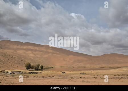 Lago Tamaying tra dune di sabbia-deserto di Badain Jaran. Alxa Plateau-Inner Mongolia-Cina-1065 Foto Stock