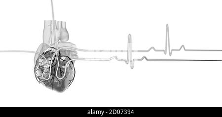 illustrazione 3d di un cuore umano con una traccia del ciclo cardiaco. Foto Stock