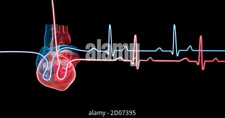 illustrazione 3d di un cuore umano con una traccia del ciclo cardiaco. Foto Stock