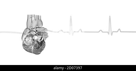 illustrazione 3d di un cuore umano con una traccia del ciclo cardiaco. Foto Stock