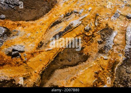 Tappetino batterico, Upper Geyser Basin, Yellowstone National Park, Wyoming, Stati Uniti Foto Stock