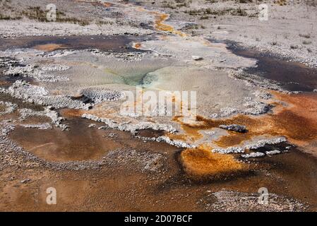 Tappetino batterico, Upper Geyser Basin, Yellowstone National Park, Wyoming, Stati Uniti Foto Stock