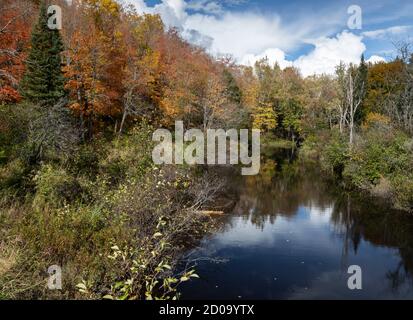 L'autunno colorato parte intorno ad un fiume Foto Stock