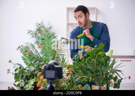 Giardiniere giovane con piante al chiuso Foto Stock