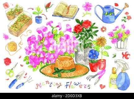 Collezione di design con petunia e fiori di rosa, utensili da giardinaggio e decorazioni isolate su bianco. Doodle acquerello con oggetti da giardino vintage, Foto Stock