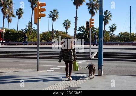 BARCELLONA, CATALOGNA / SPAGNA - 24 GENNAIO 2019: Donna con un cane che attraversa la strada Foto Stock