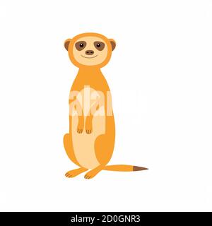 Carino meerkat. Illustrazione vettoriale isolata su sfondo bianco. Illustrazione Vettoriale