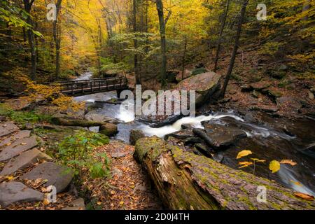 paesaggi autunnali pacifici e colorati di ispirazione, con cascate e Stream nel parco statale Ricketts Glenn in Pennsylvania Foto Stock