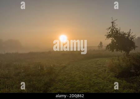 alba in un primo giorno d'autunno a Uckermark, in Germania Foto Stock
