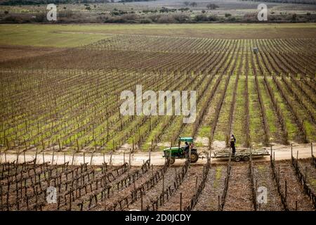 Santiago del Cile - 2019-07-13 - trattore aziona verso il basso su strada sterrata in vigneto in inverno. Foto Stock