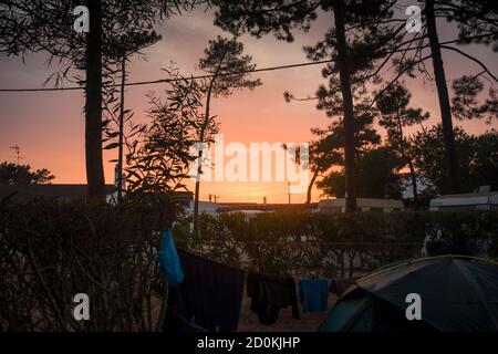 Luminoso e colorato tramonto in un campeggio parco, vista tra alberi di pino in controluce Foto Stock