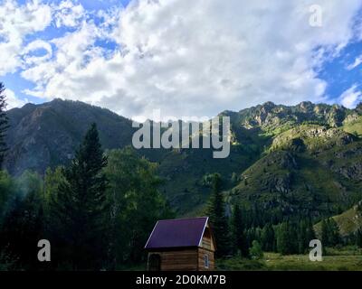 Paesaggio montano all'aperto che raffigura nuvole, conifere e prati Foto Stock