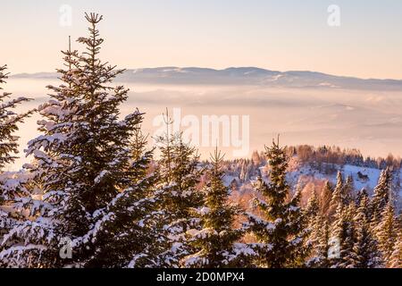 Kopaonik, Serbia tramonto aereo inverno montagna panorama con pini innevati Foto Stock