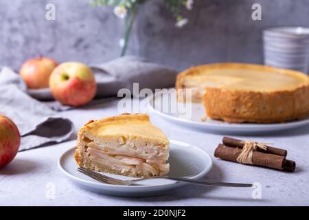 Torta di mele con cannella e panna acida. Cottura fatta in casa. Torta russa tradizionale. Primo piano. Foto Stock