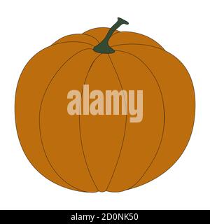 Illustrazione vettoriale della zucca su sfondo bianco. Zucca per Halloween o Ringraziamento Illustrazione Vettoriale