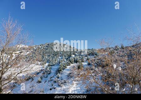 Inverno nelle montagne dell'Uzbekistan. Il Resort di Beldersay. La catena montuosa di Tian Shan Foto Stock