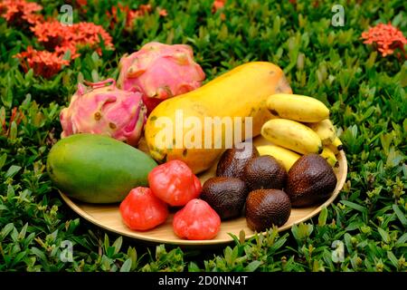 Indonesia Batam - frutti tropicali indonesiani Papaya - prugna - Mango - Salak (frutta del serpente) - Banana - Pitaya (Frutto del drago) Foto Stock