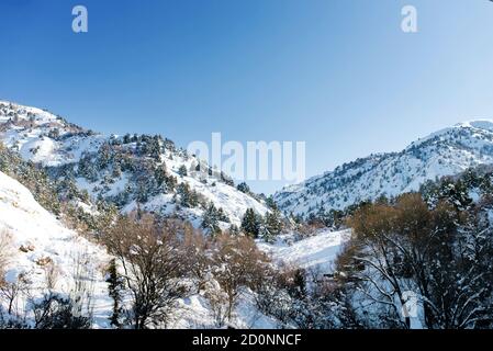 Tian Shan sistema di montagna in inverno in Uzbekistan. Giorno di sole invernale Foto Stock